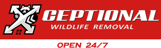 Xceptiona Wildlife Logo